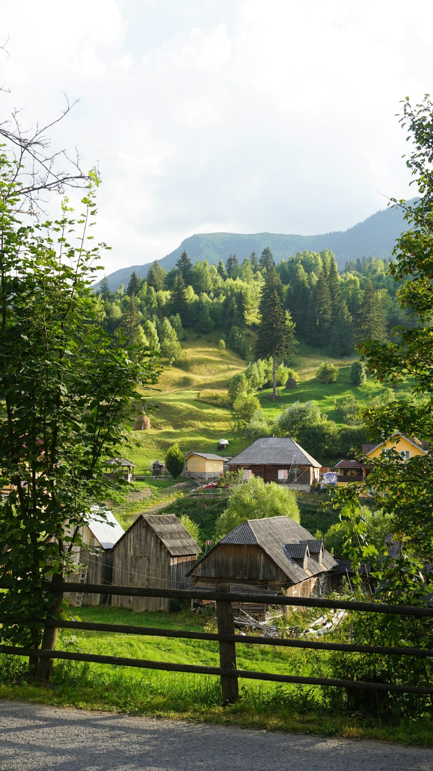 Mindset Secrets from Successful Romanians